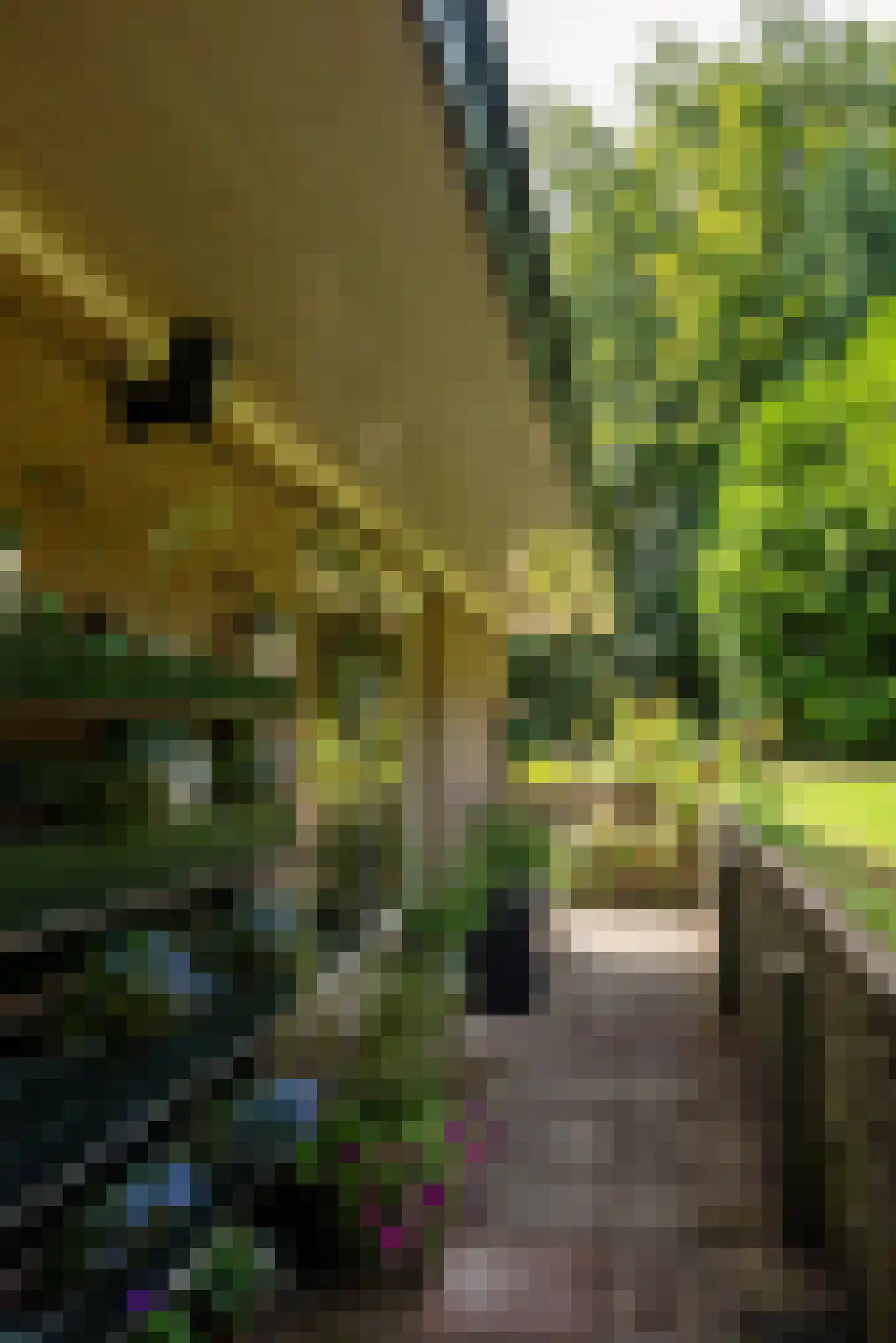 Weikamperweg 95 Hoenderloo thumbnail 42