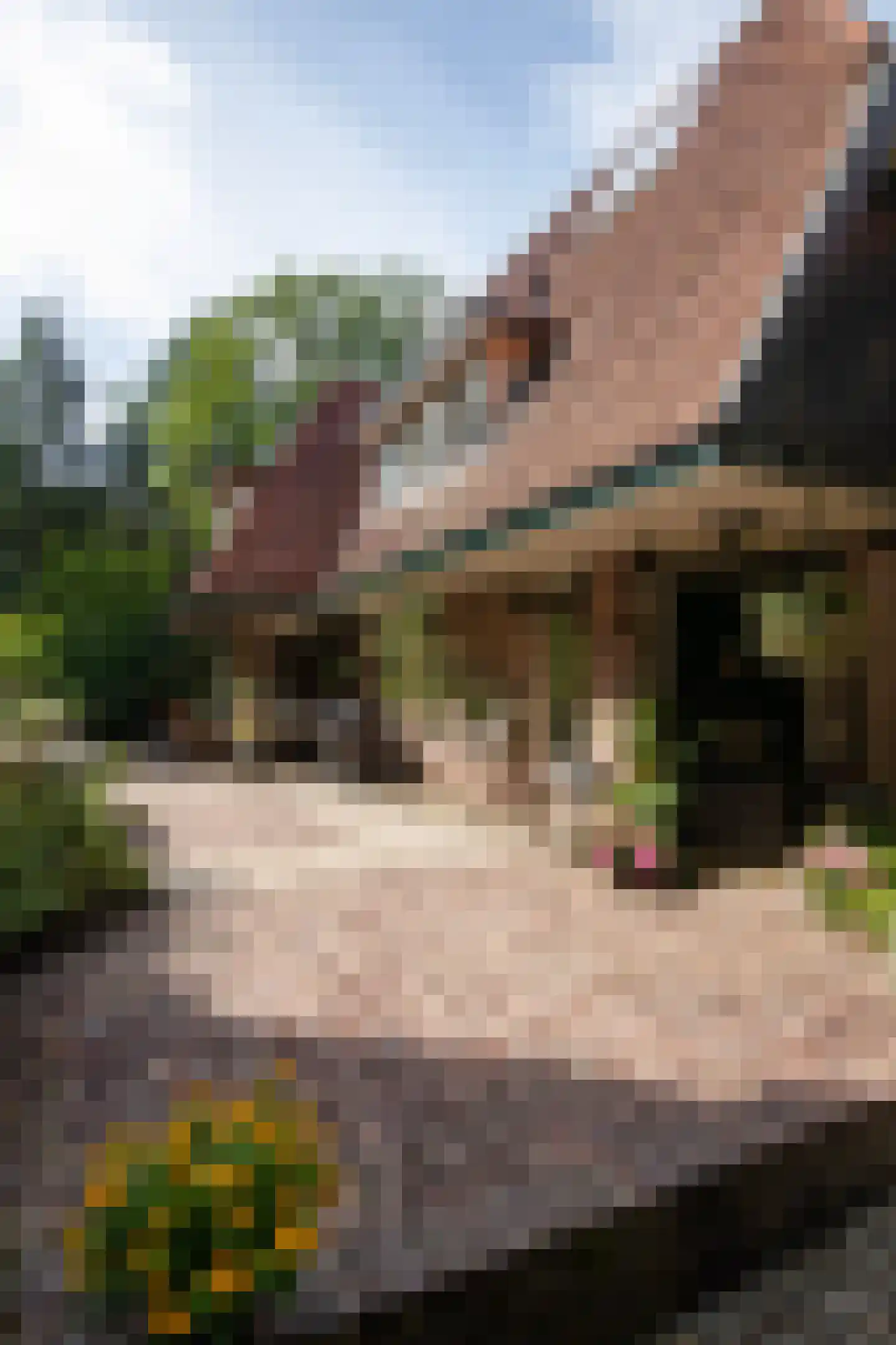 Weikamperweg 95 Hoenderloo thumbnail 43