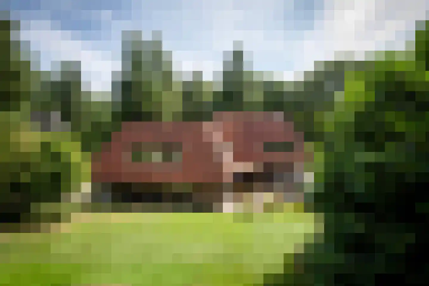 Weikamperweg 95 Hoenderloo thumbnail 44