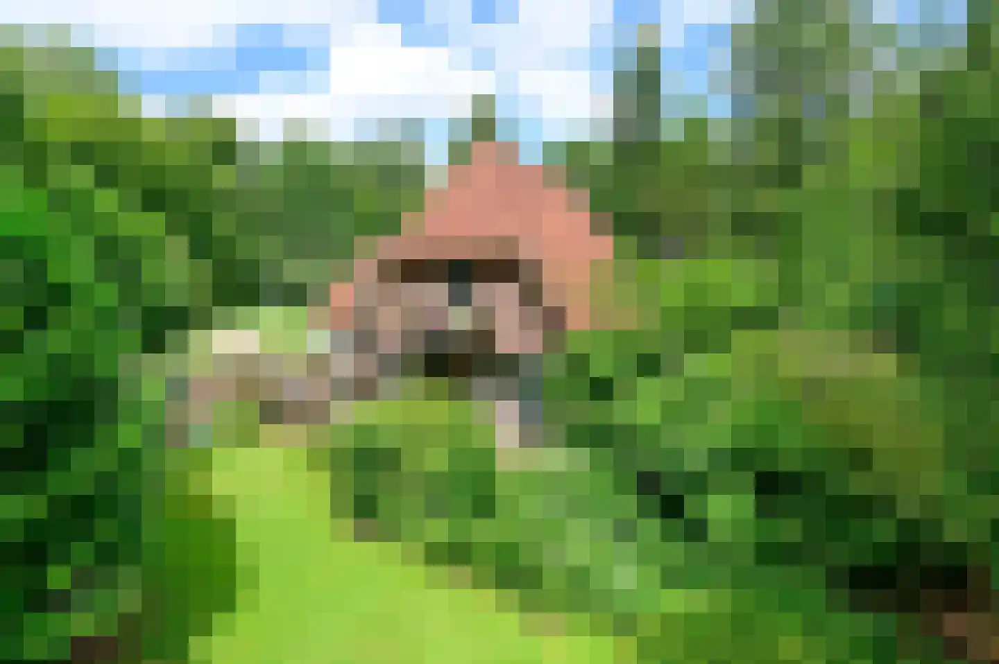 Weikamperweg 95 Hoenderloo thumbnail 48