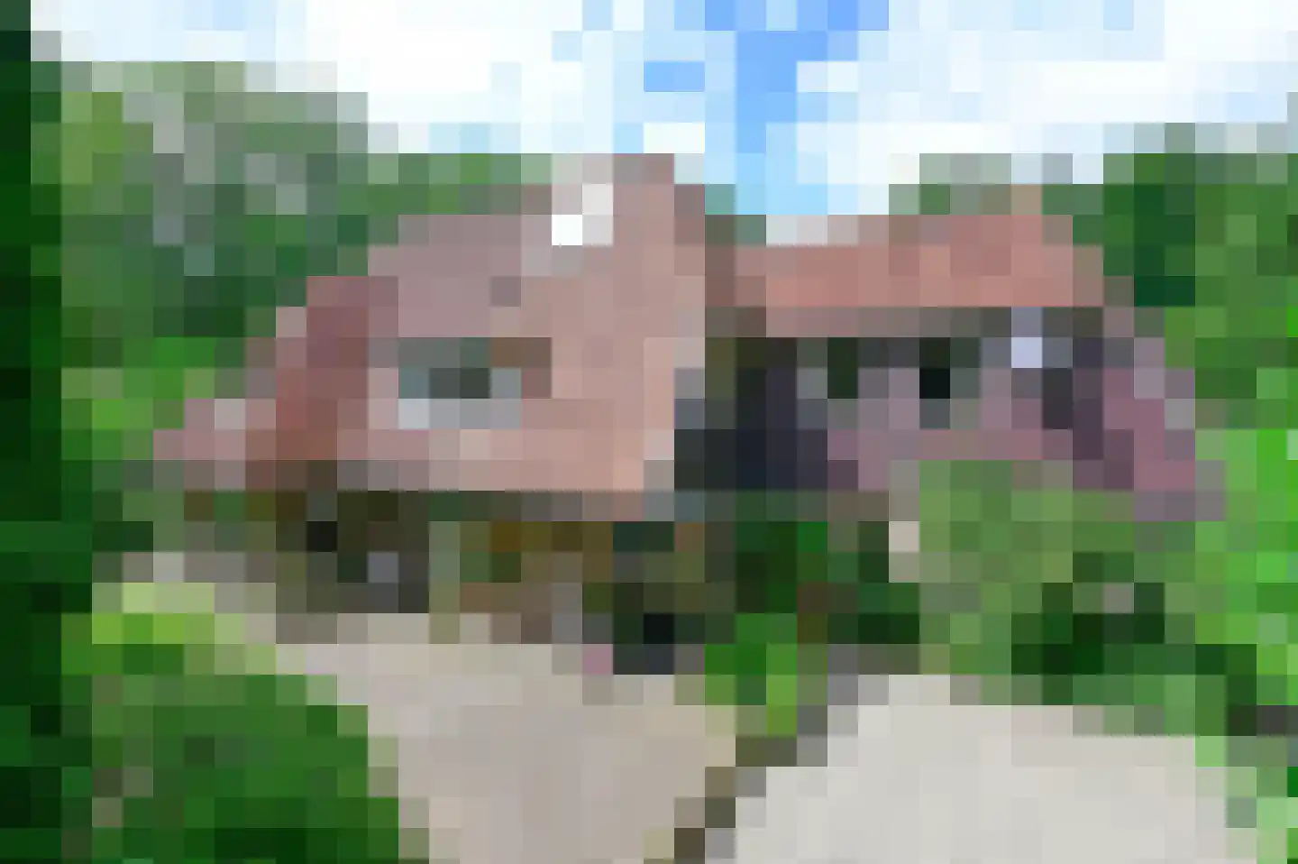Weikamperweg 95 Hoenderloo thumbnail 5