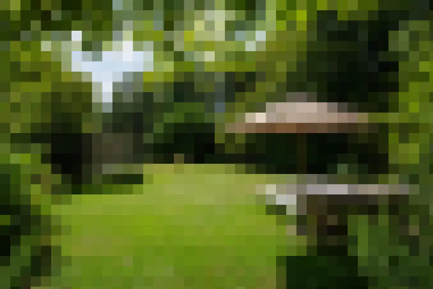 Weikamperweg 95 Hoenderloo thumbnail 50