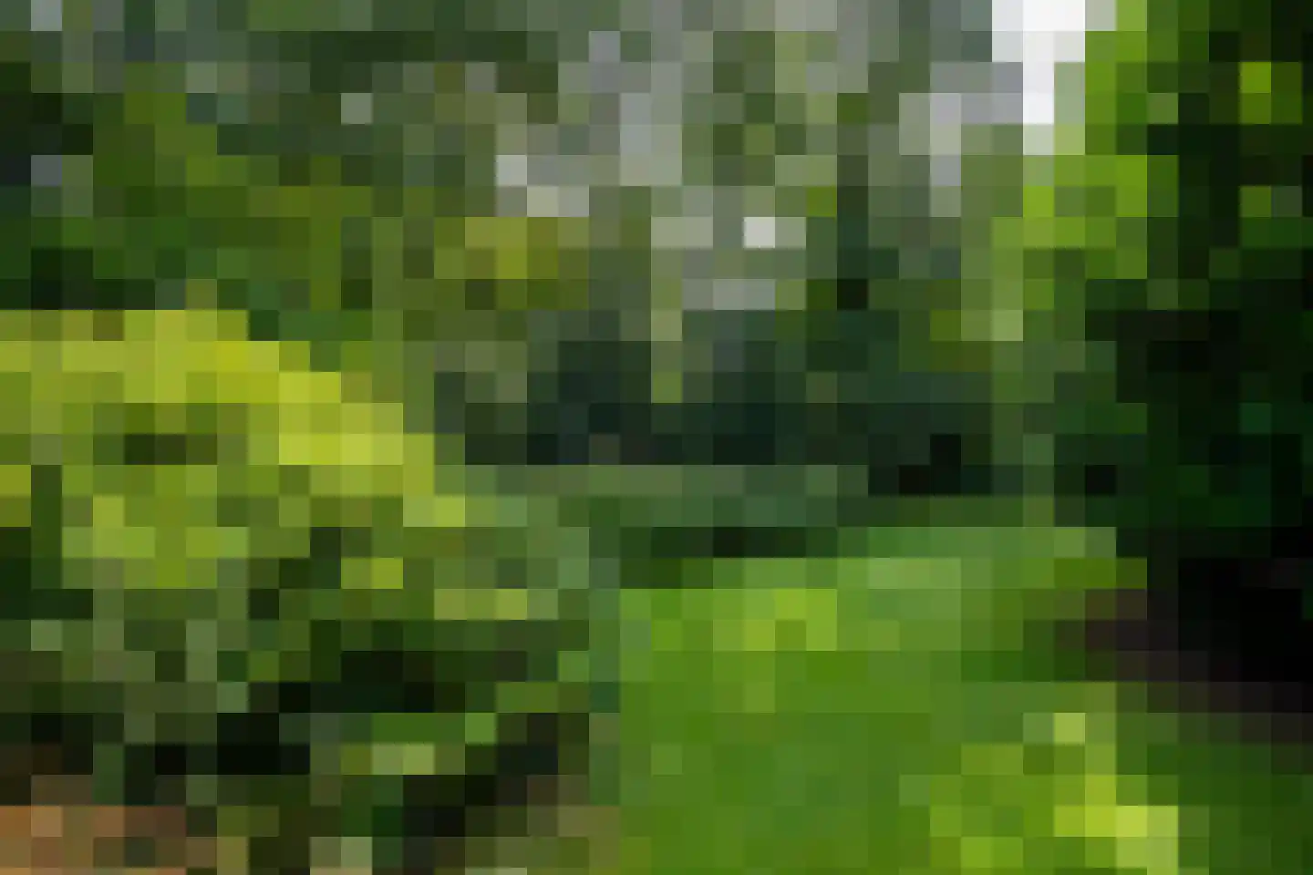 Weikamperweg 95 Hoenderloo thumbnail 52