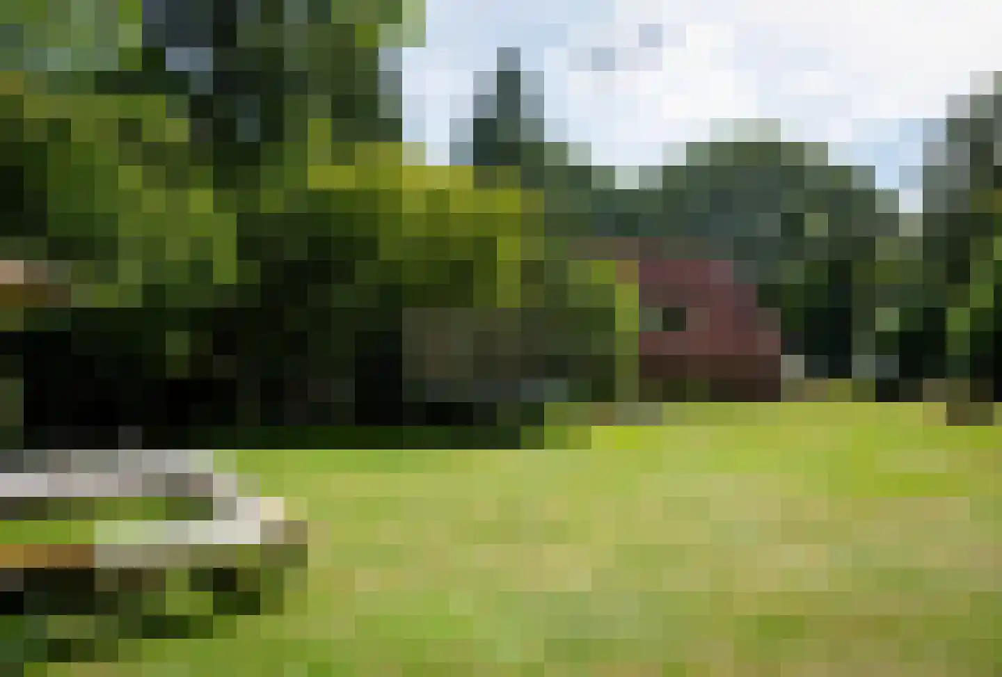 Weikamperweg 95 Hoenderloo thumbnail 53