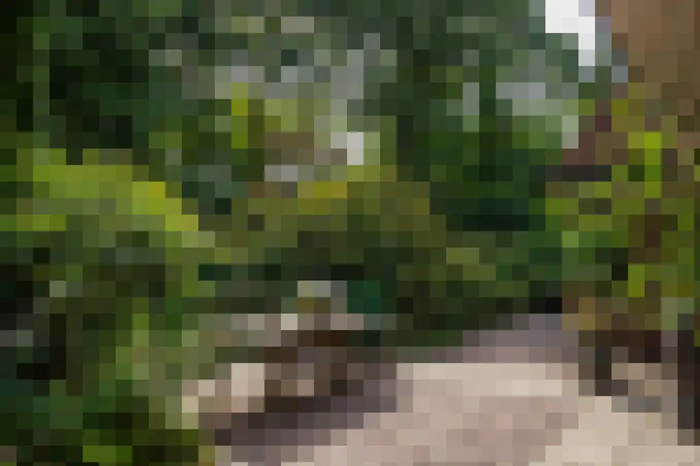 Weikamperweg 95 Hoenderloo thumbnail 54