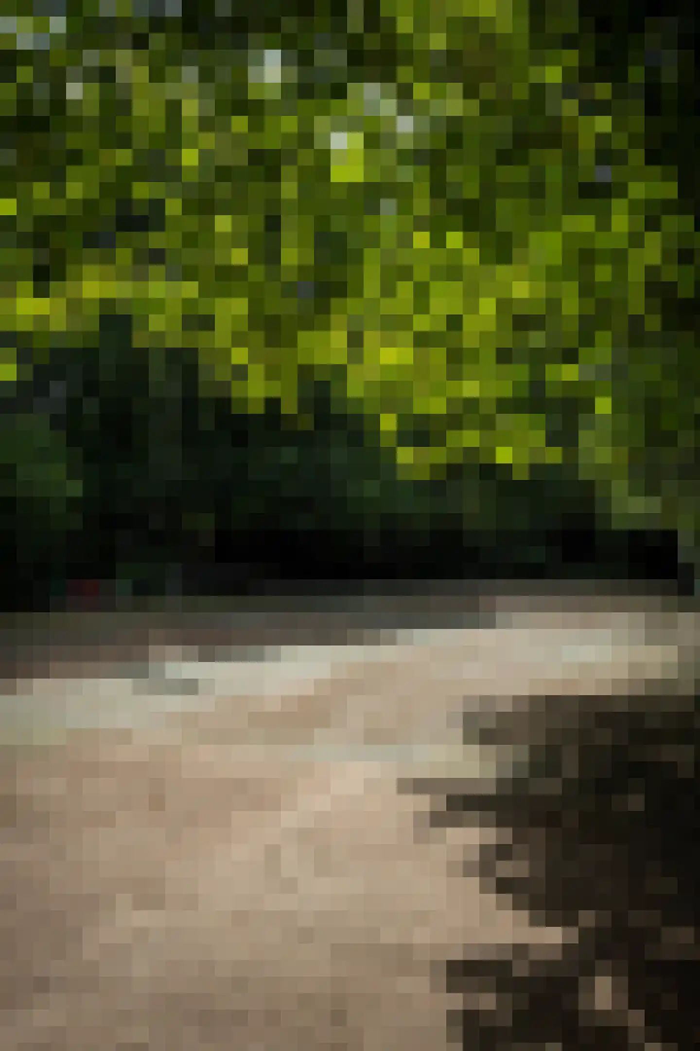 Weikamperweg 95 Hoenderloo thumbnail 58