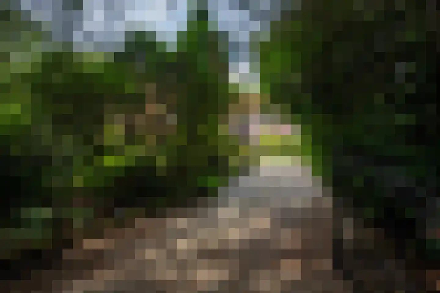 Weikamperweg 95 Hoenderloo thumbnail 61