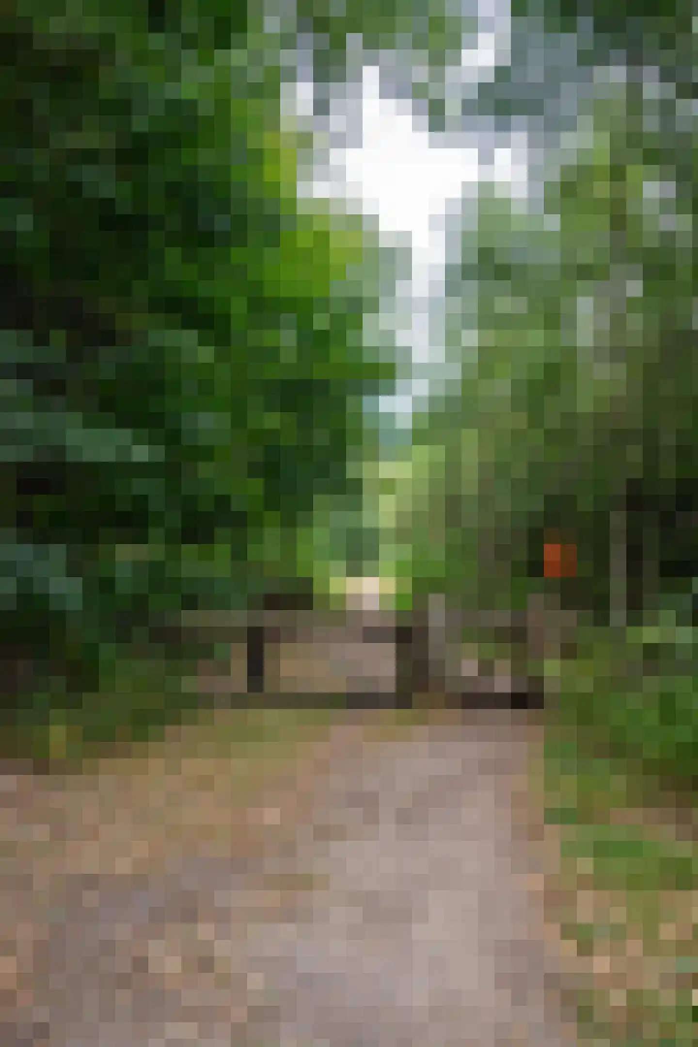 Weikamperweg 95 Hoenderloo thumbnail 63