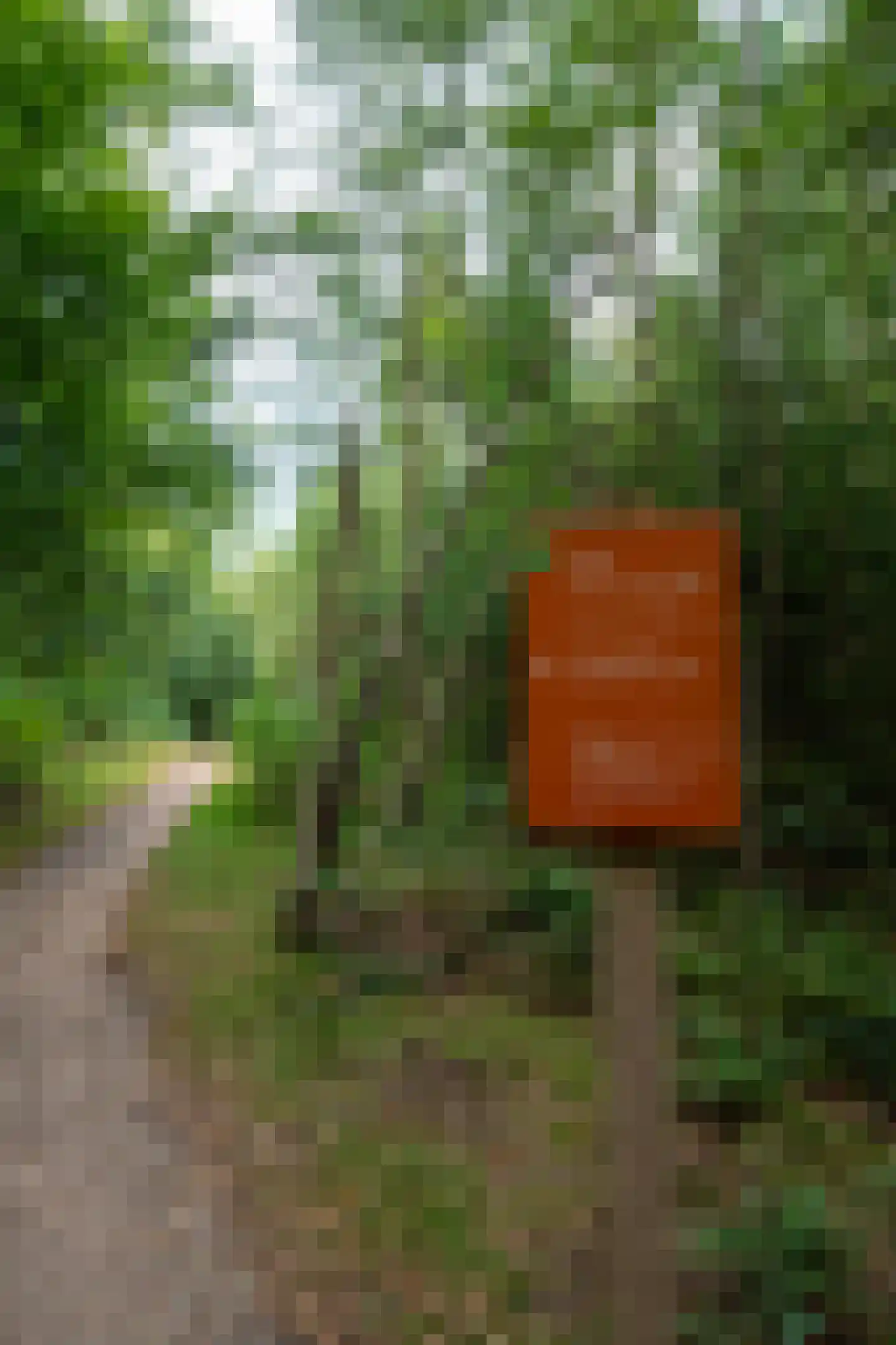 Weikamperweg 95 Hoenderloo thumbnail 64
