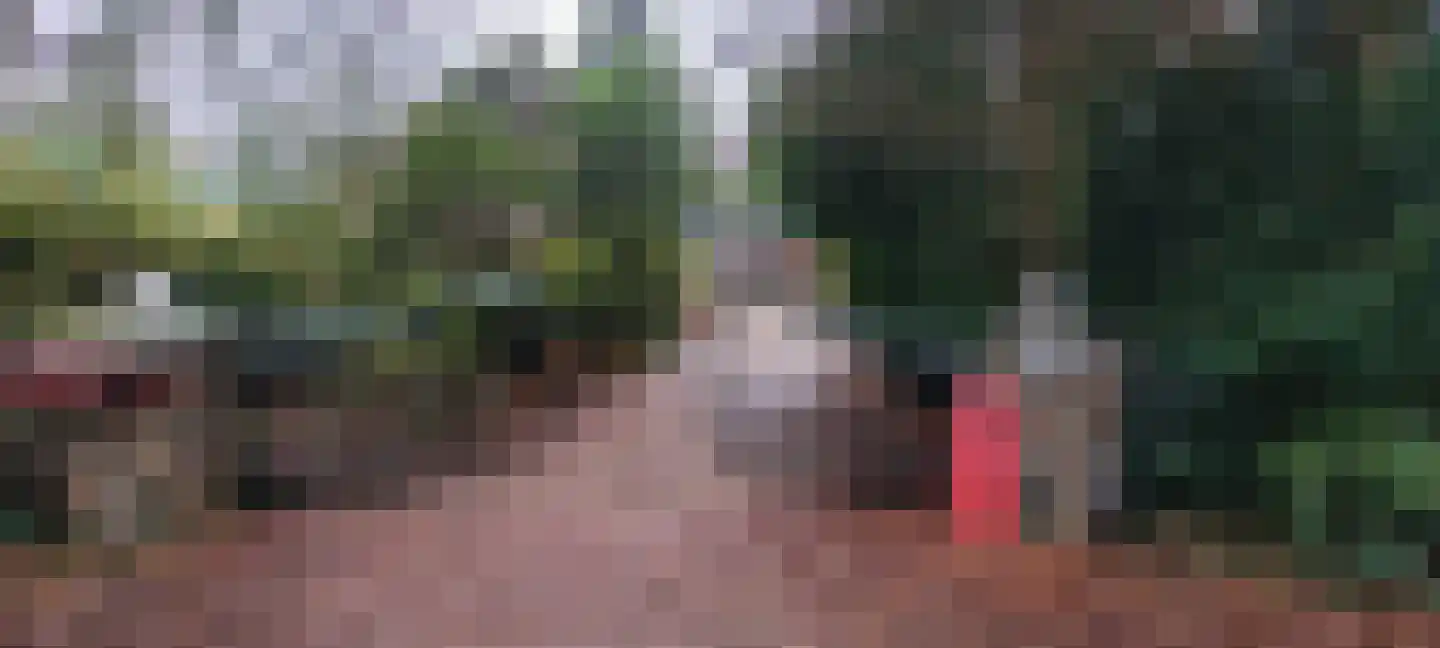 Weikamperweg 95 Hoenderloo thumbnail 66