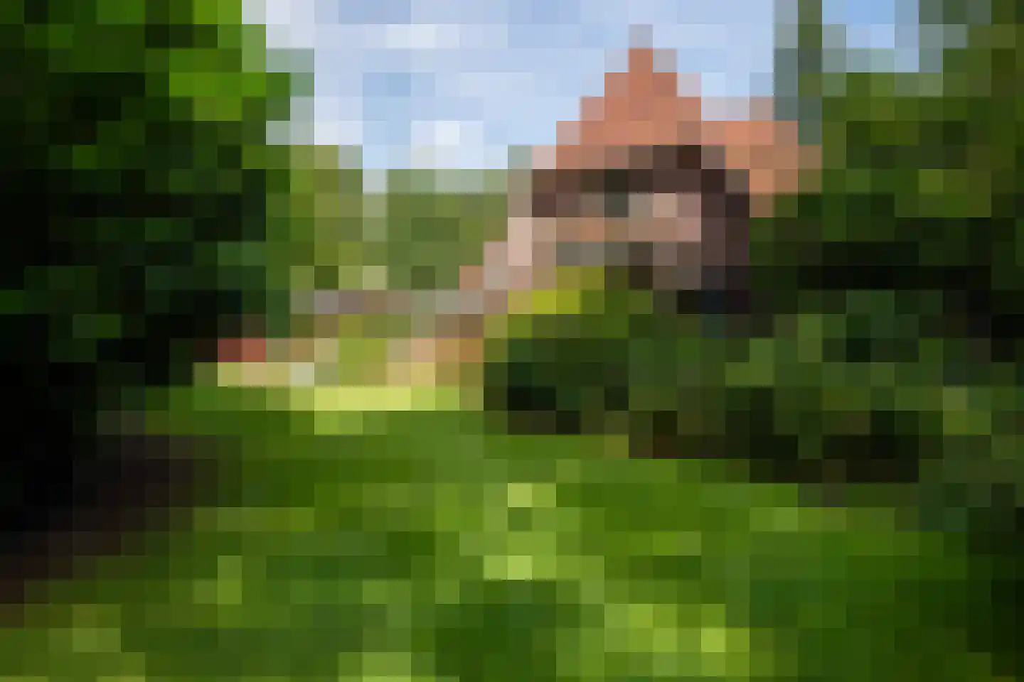 Weikamperweg 95 Hoenderloo thumbnail 7