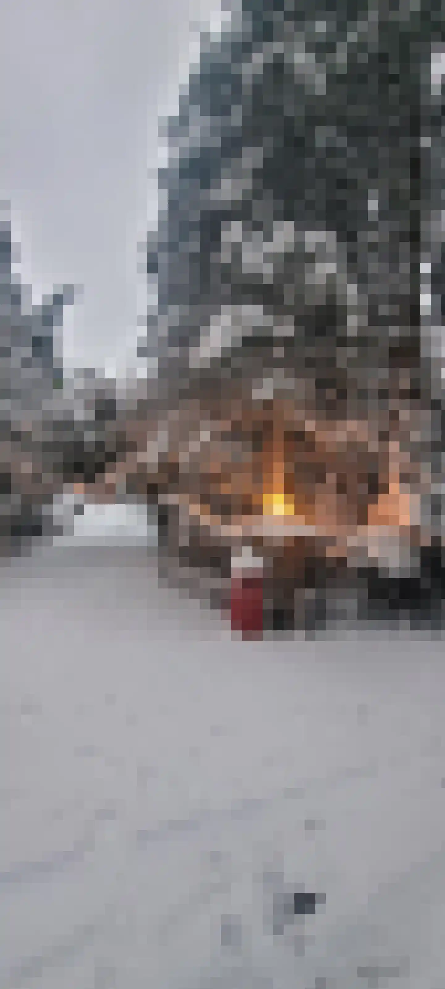 Weikamperweg 95 Hoenderloo thumbnail 71