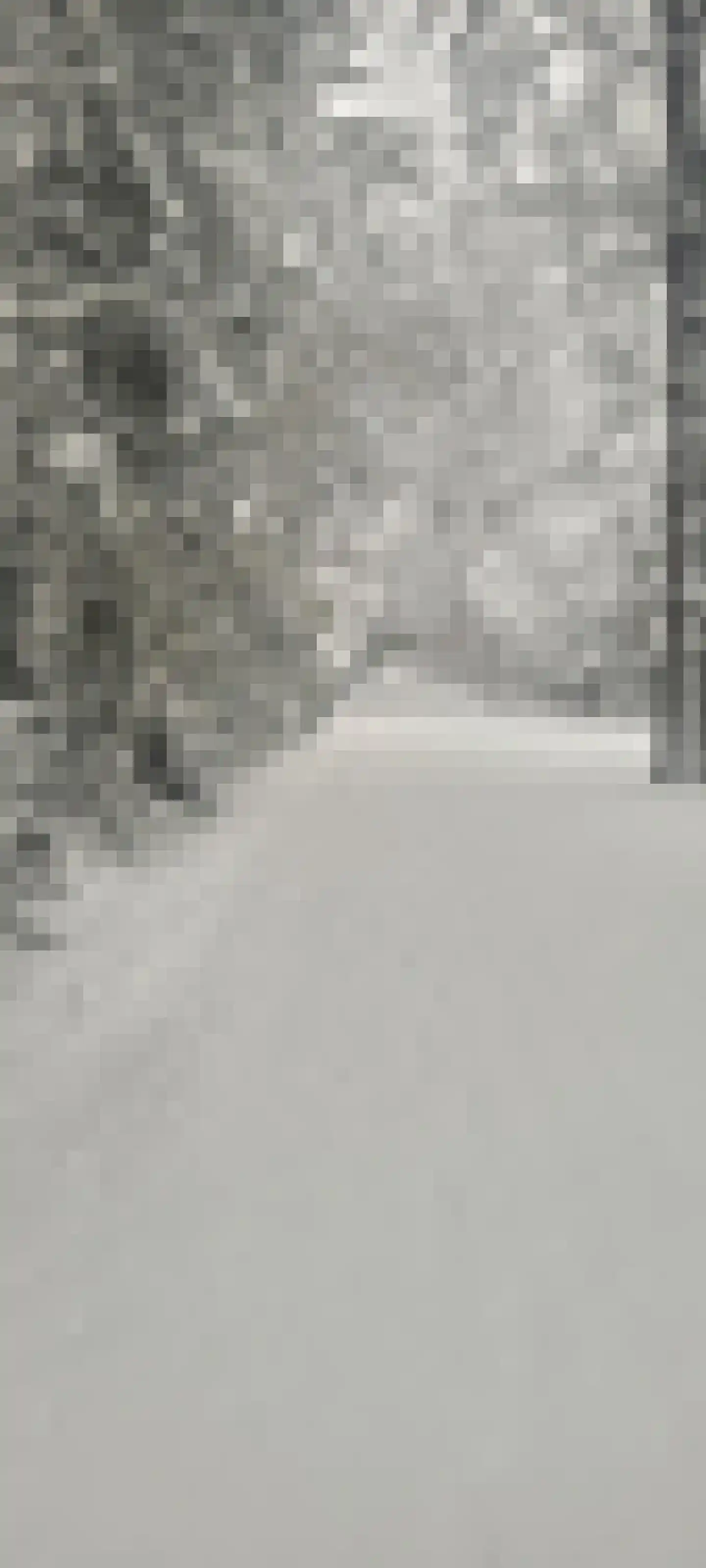 Weikamperweg 95 Hoenderloo thumbnail 72