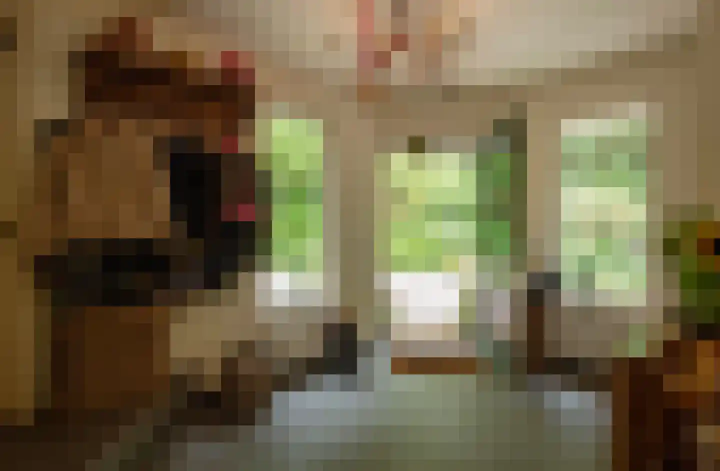 Weikamperweg 95 Hoenderloo thumbnail 9