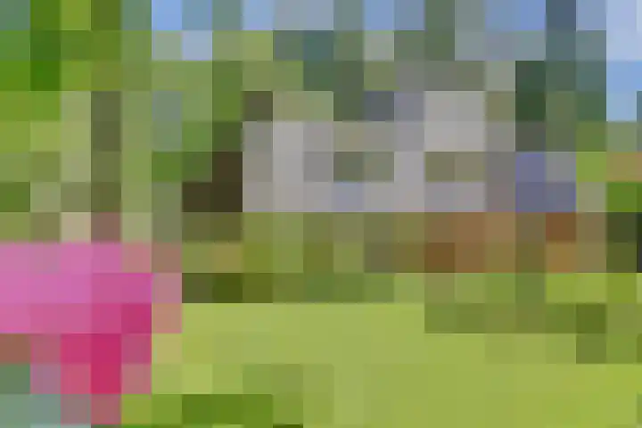 Weikamperweg 97 in Hoenderloo