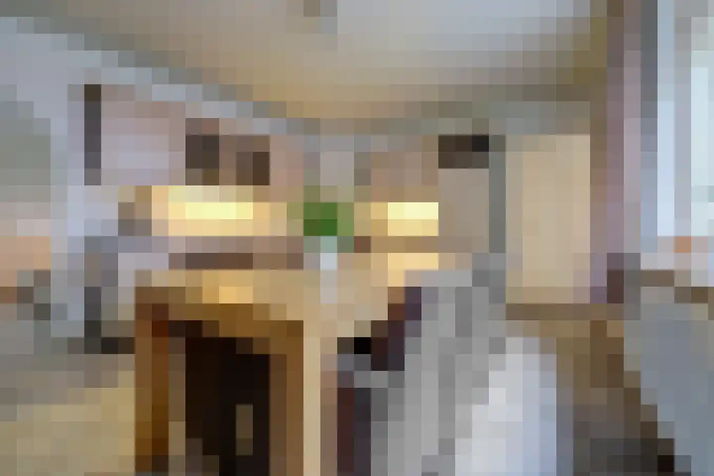 Weikesstraat 14 Alem thumbnail 12