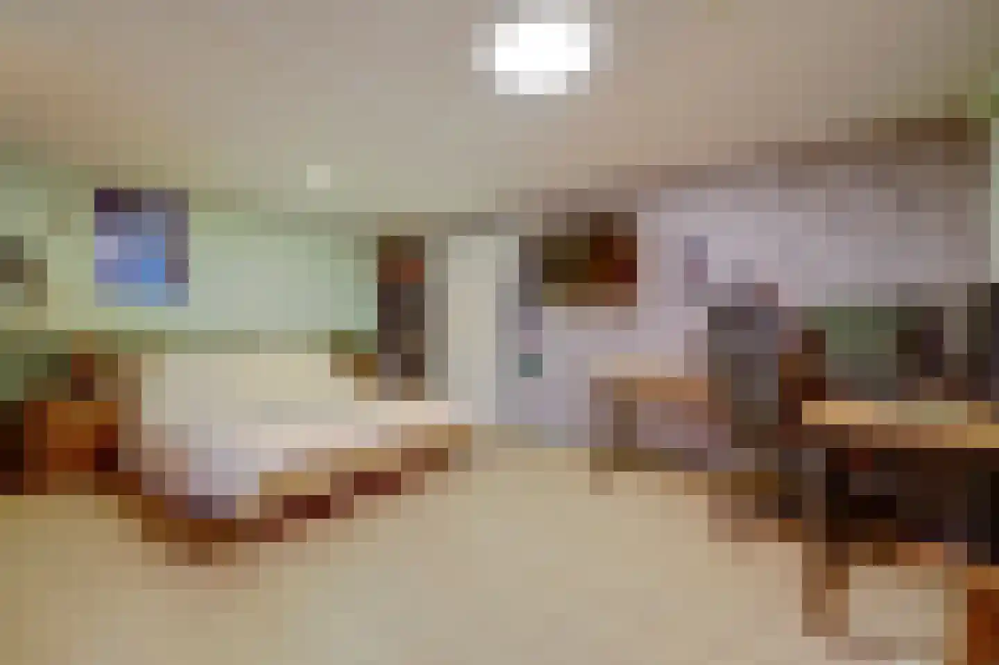 Weikesstraat 14 Alem thumbnail 16