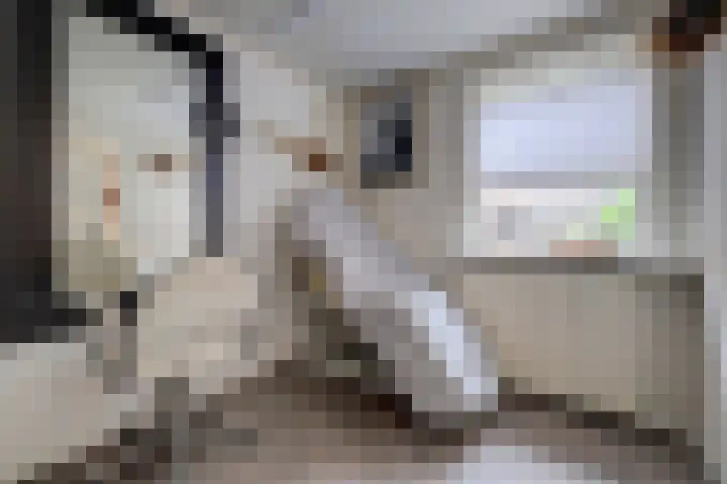 Weikesstraat 14 Alem thumbnail 20