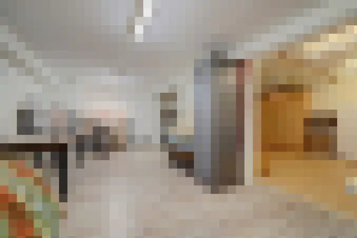 Weikesstraat 14 Alem thumbnail 21
