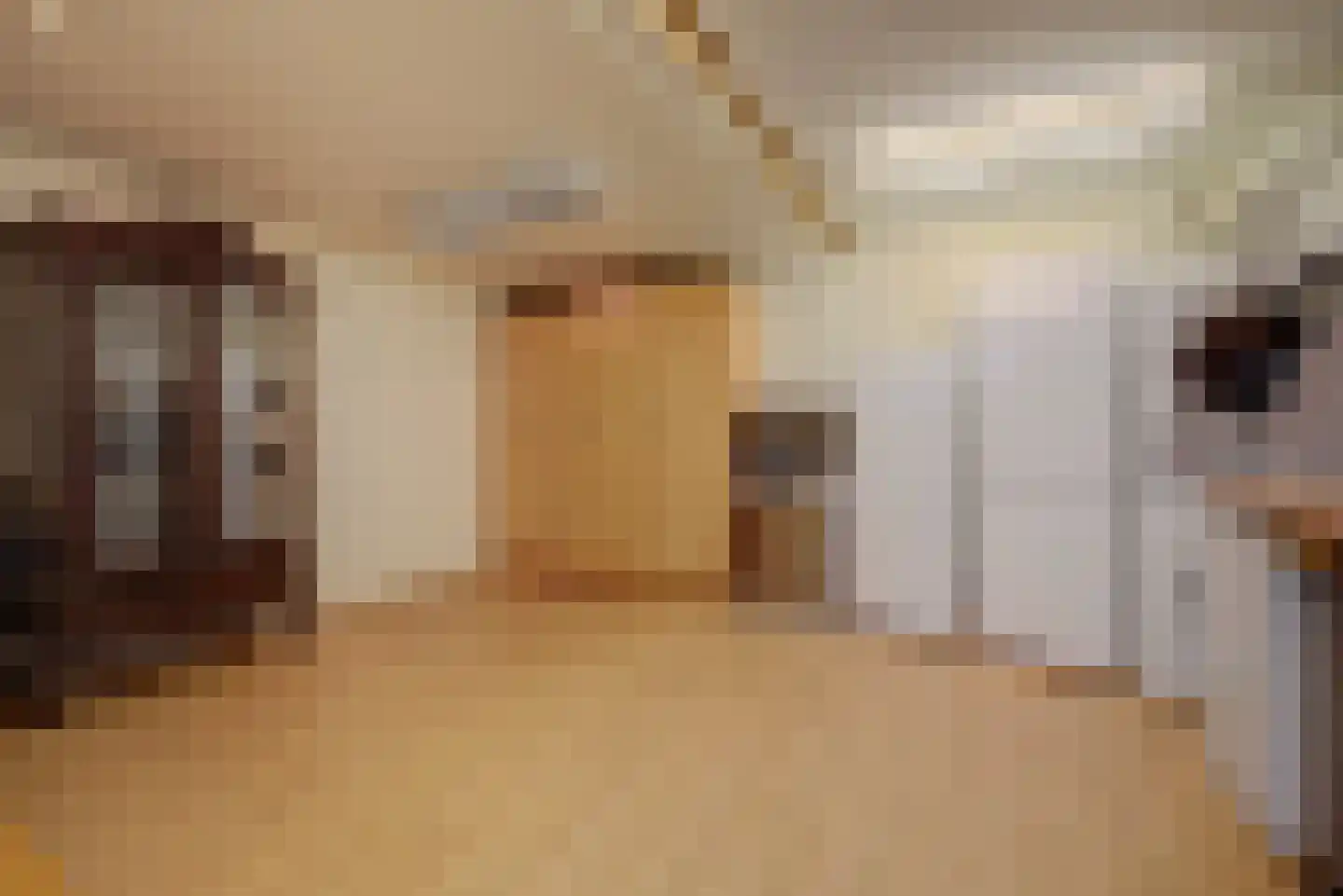 Weikesstraat 14 Alem thumbnail 22