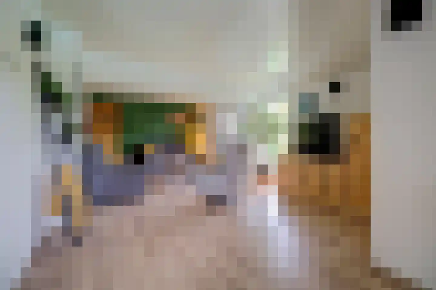 Weikesstraat 14 Alem thumbnail 27