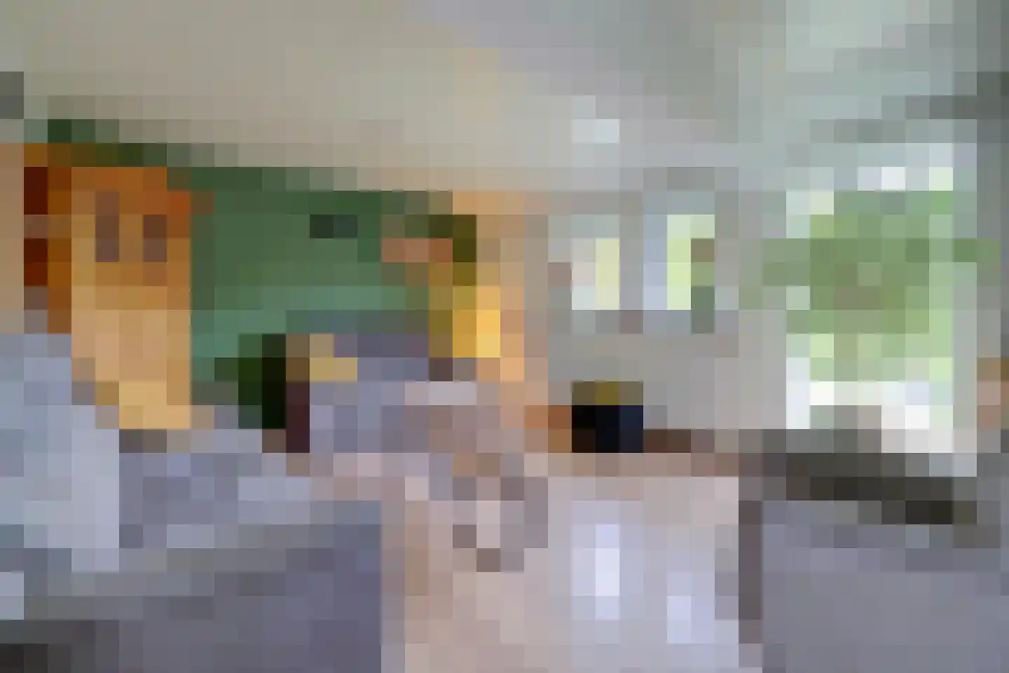 Weikesstraat 14 Alem thumbnail 28