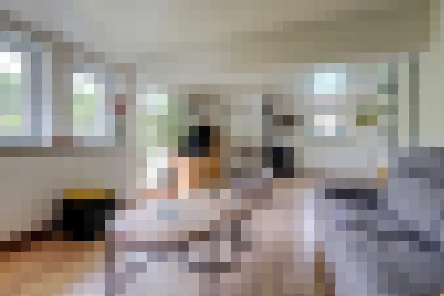 Weikesstraat 14 Alem thumbnail 29