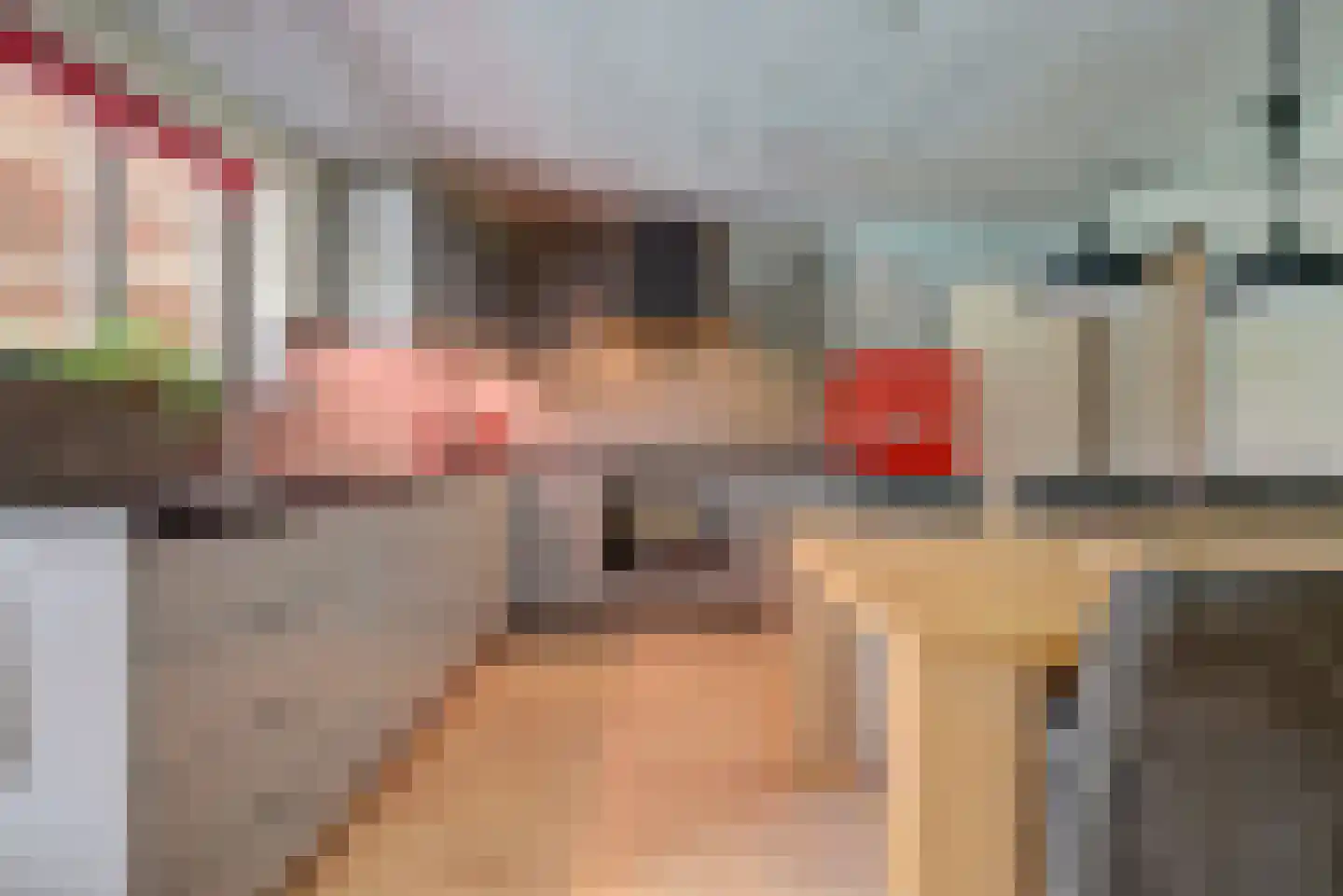 Weikesstraat 14 Alem thumbnail 30