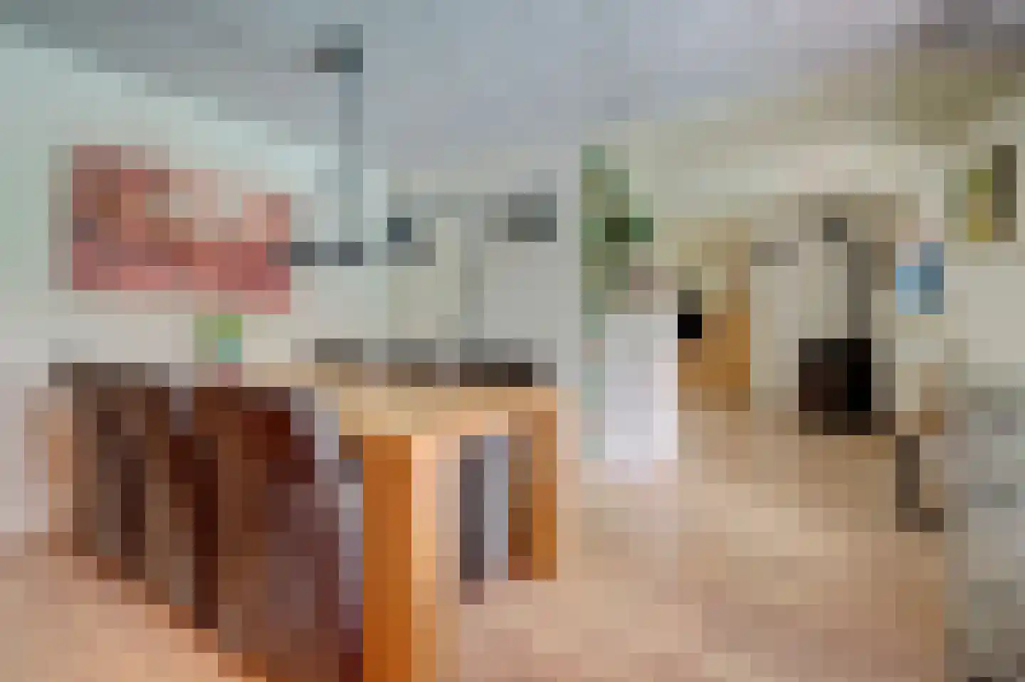 Weikesstraat 14 Alem thumbnail 32