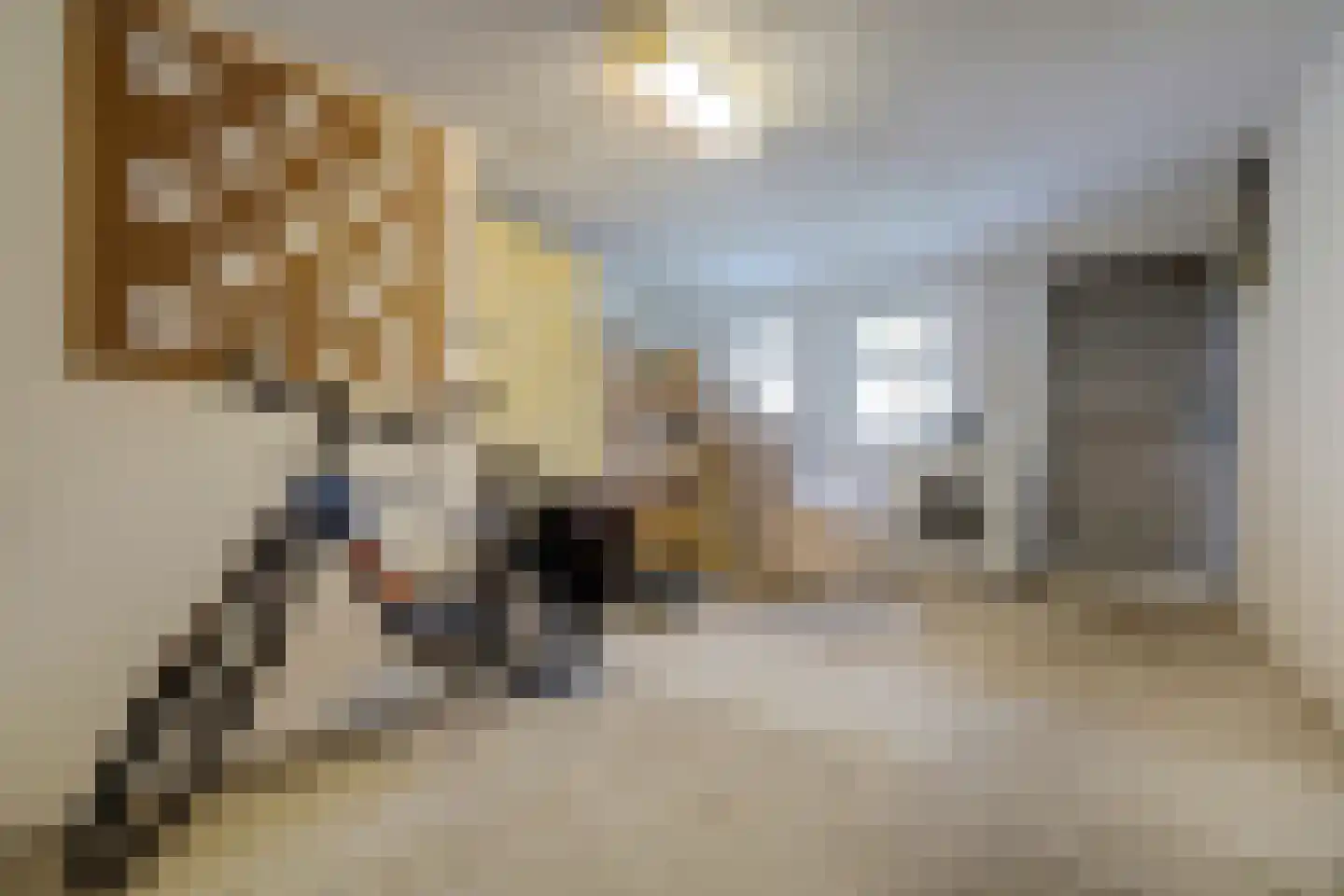 Weikesstraat 14 Alem thumbnail 36