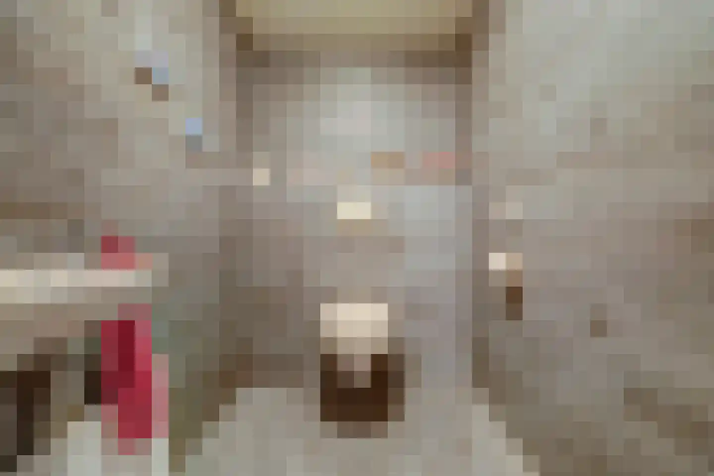 Weikesstraat 14 Alem thumbnail 38