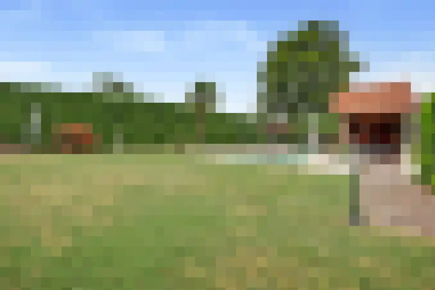 Weikesstraat 14 Alem thumbnail 4