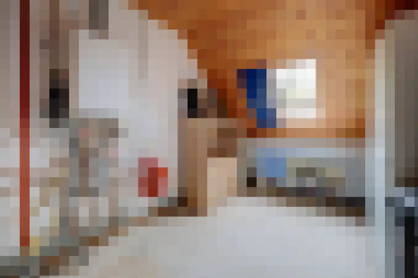 Weikesstraat 14 Alem thumbnail 44