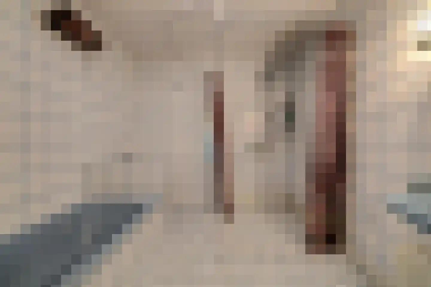 Weikesstraat 14 Alem thumbnail 45