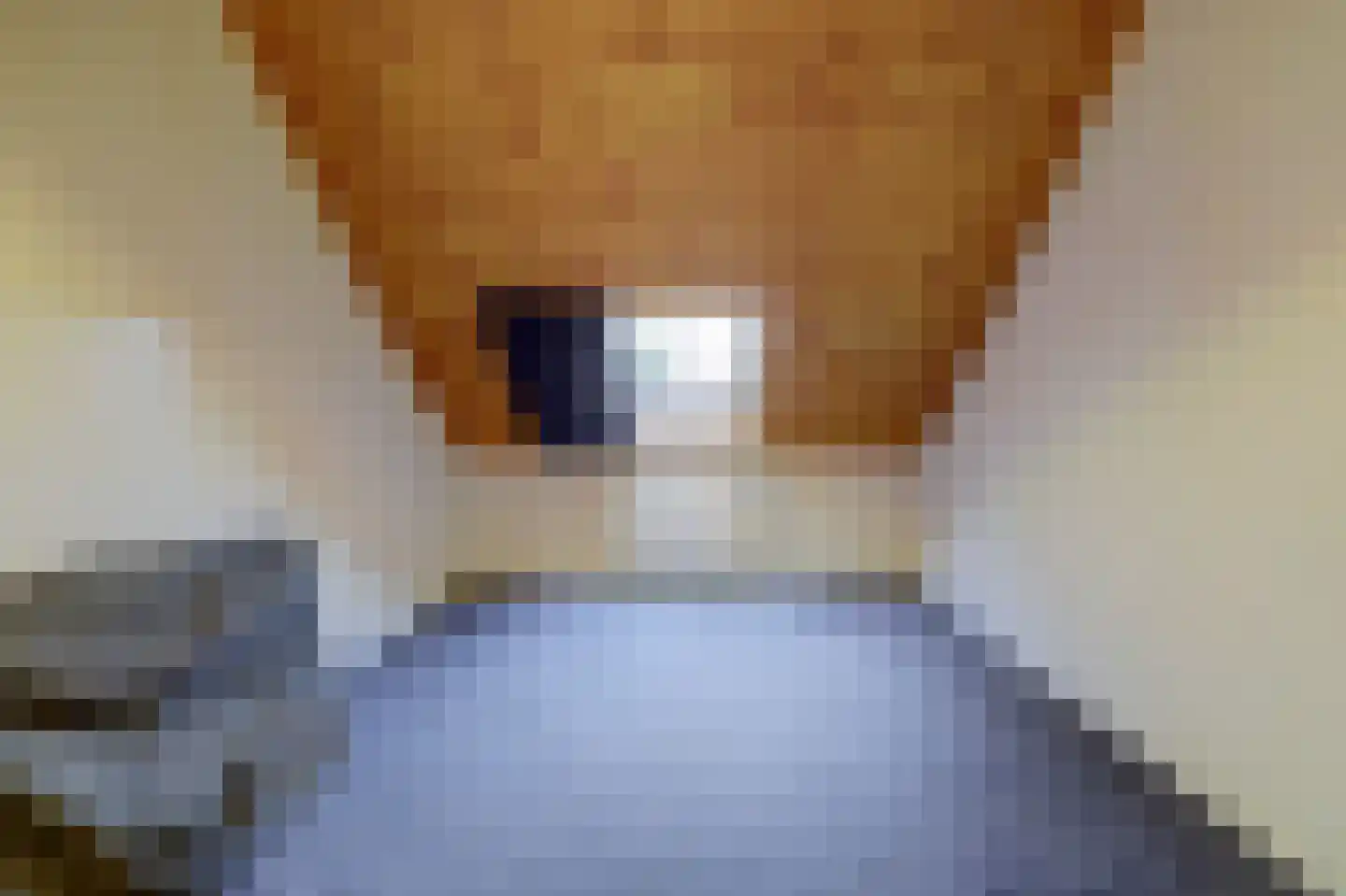 Weikesstraat 14 Alem thumbnail 46