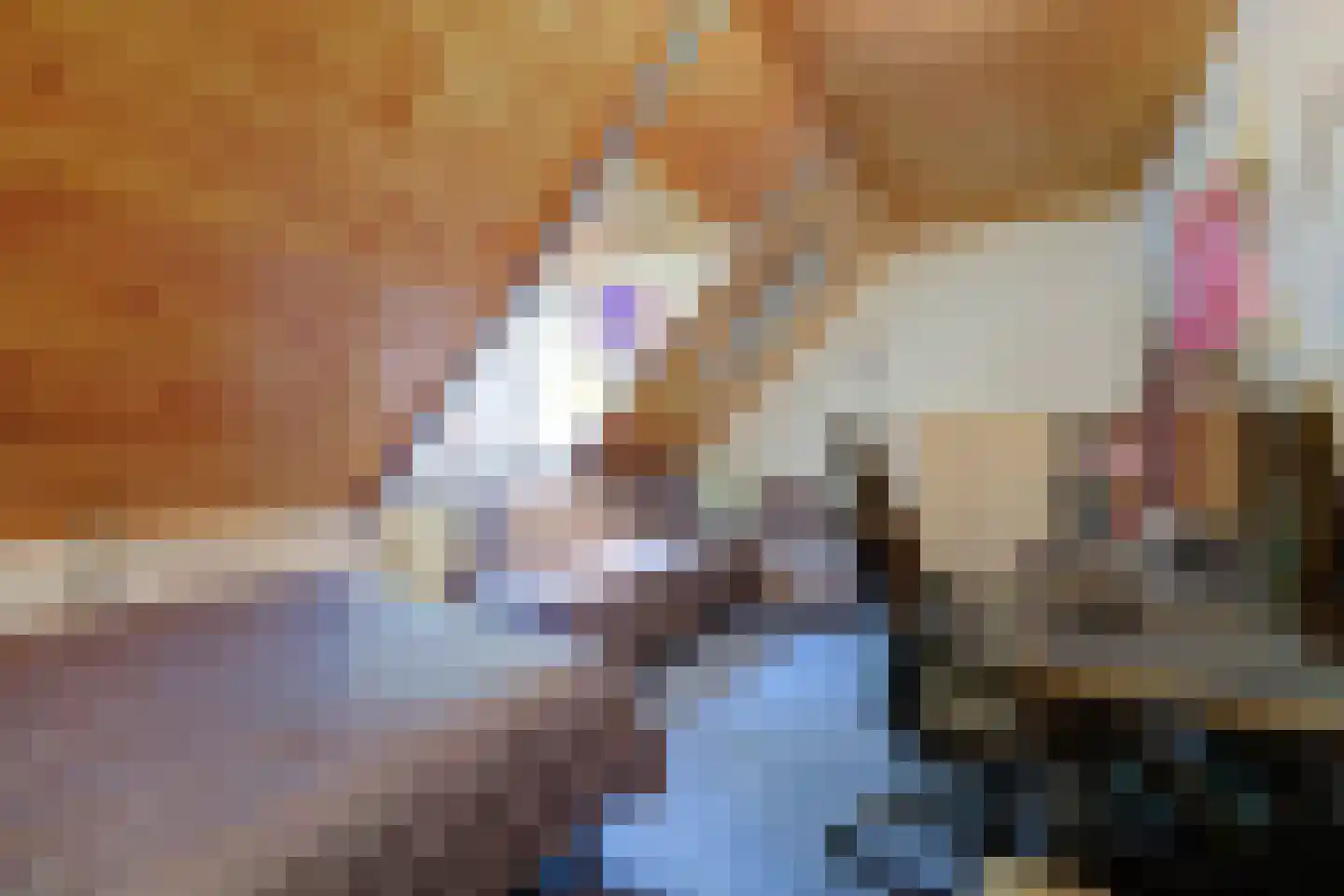 Weikesstraat 14 Alem thumbnail 48