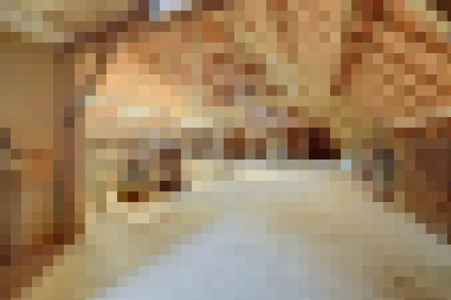Weikesstraat 14 Alem thumbnail 51