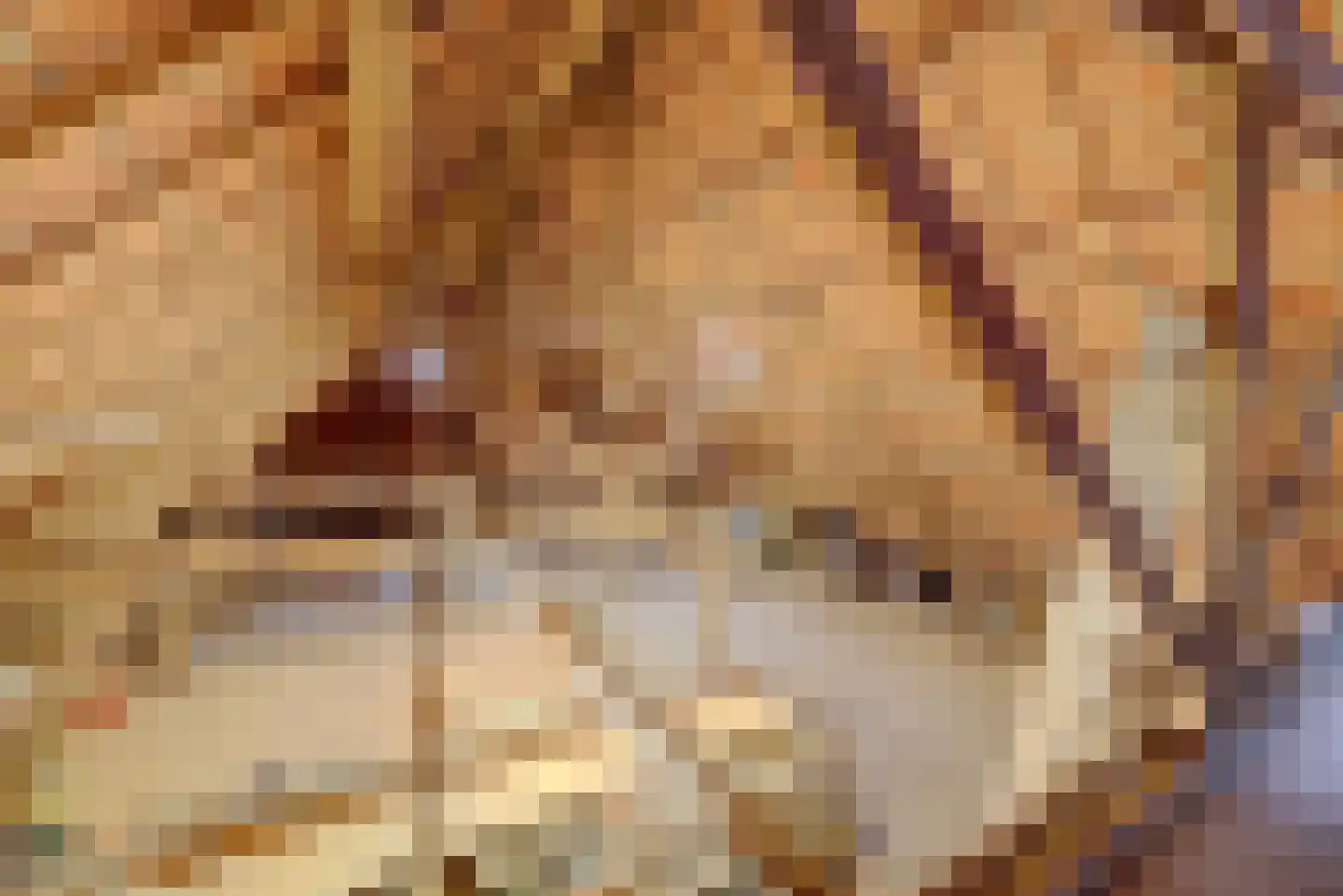 Weikesstraat 14 Alem thumbnail 54