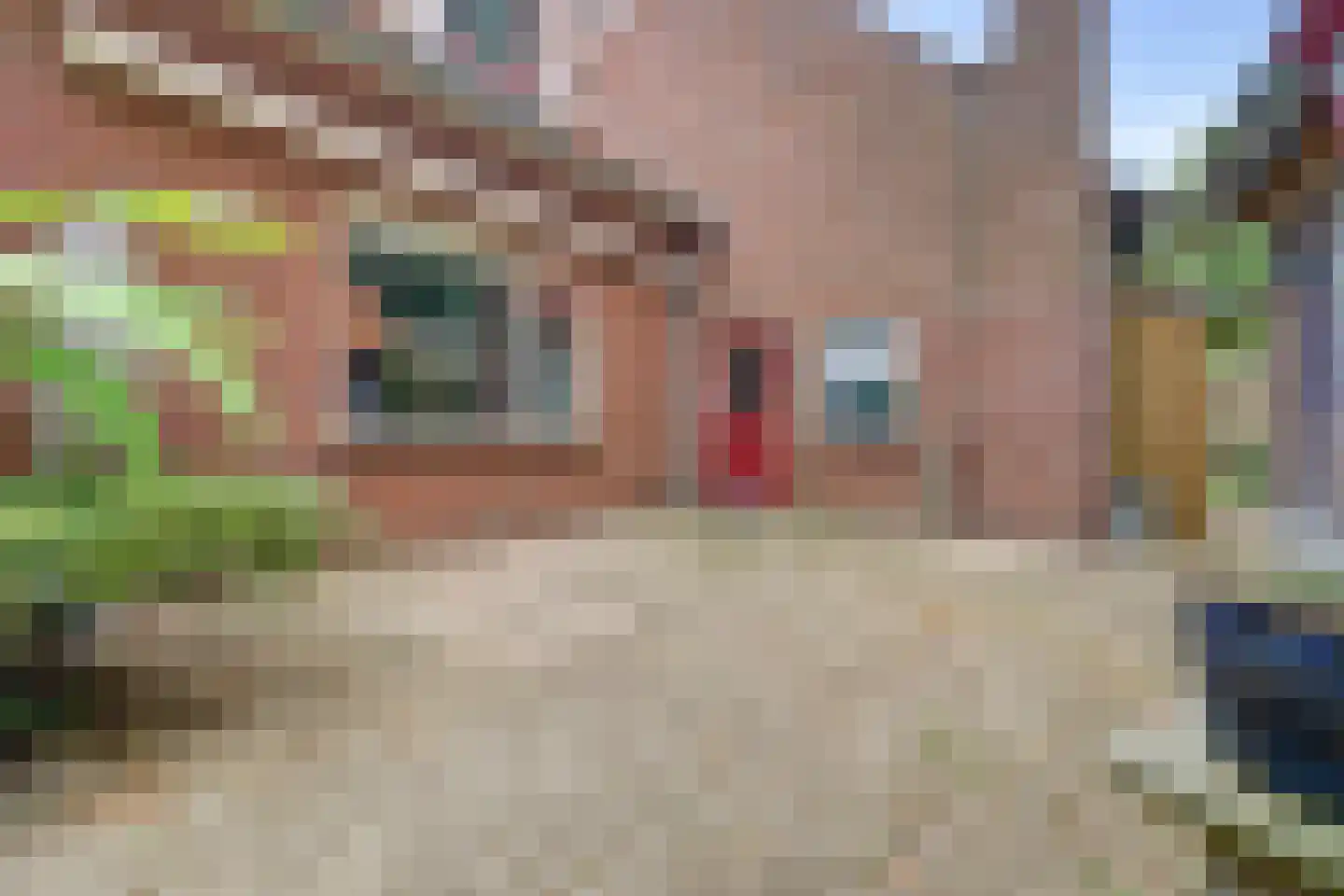 Weikesstraat 14 Alem thumbnail 55