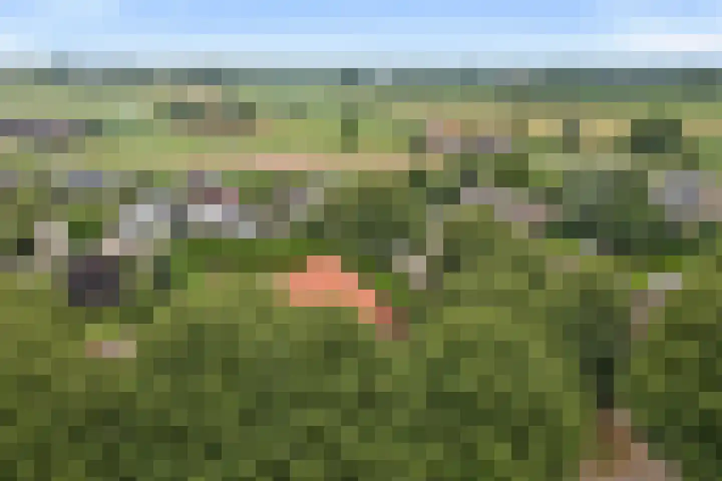 Weikesstraat 14 Alem thumbnail 67