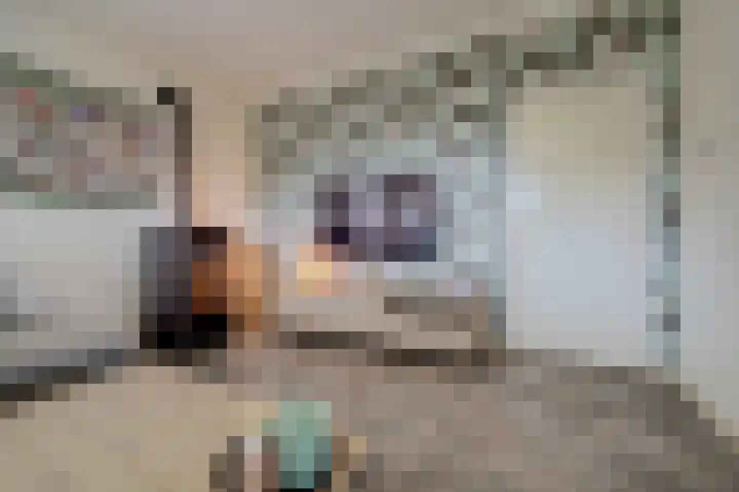 Weikesstraat 14 Alem thumbnail 9