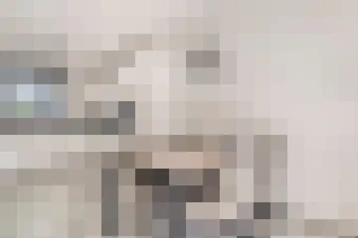 Weikesstraat 28 Alem thumbnail 11