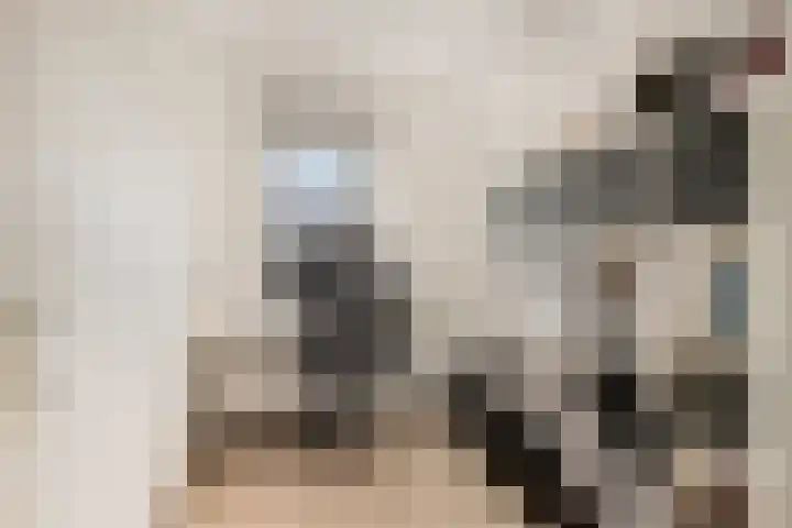 Weikesstraat 28 Alem thumbnail 21