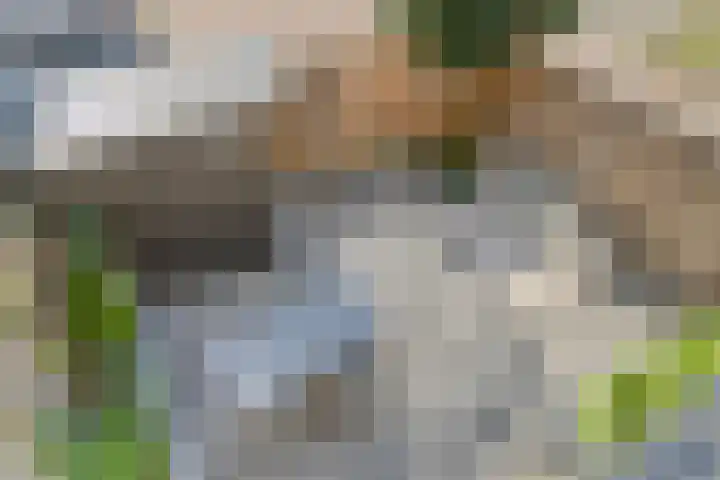 Weikesstraat 28 Alem thumbnail 25