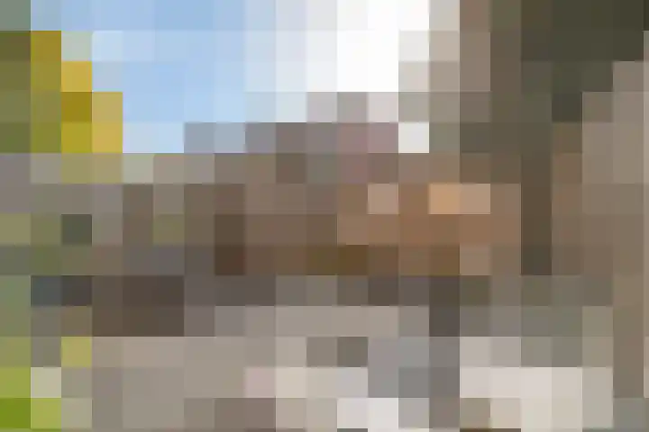 Weikesstraat 28 Alem thumbnail 30
