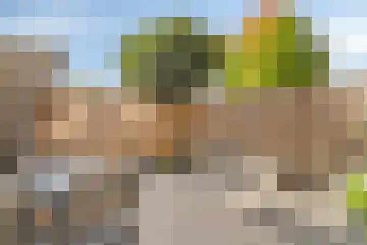 Weikesstraat 28 Alem thumbnail 31