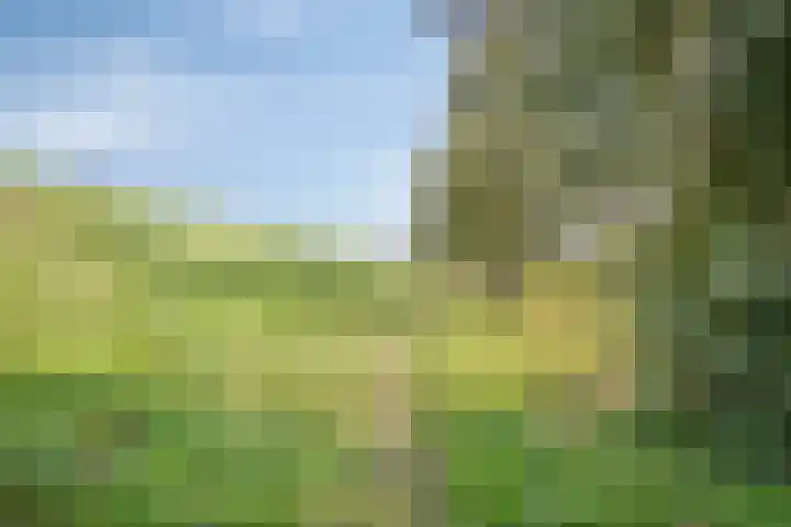 Weikesstraat 28 Alem thumbnail 33