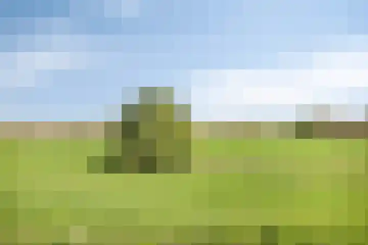 Weikesstraat 28 Alem thumbnail 34