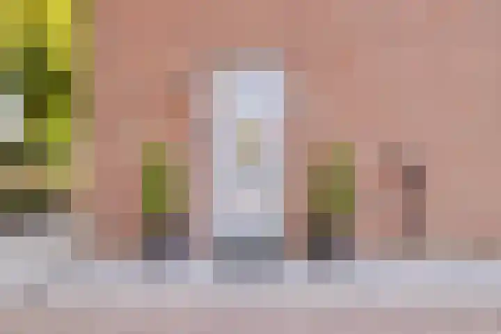 Weikesstraat 28 Alem thumbnail 4