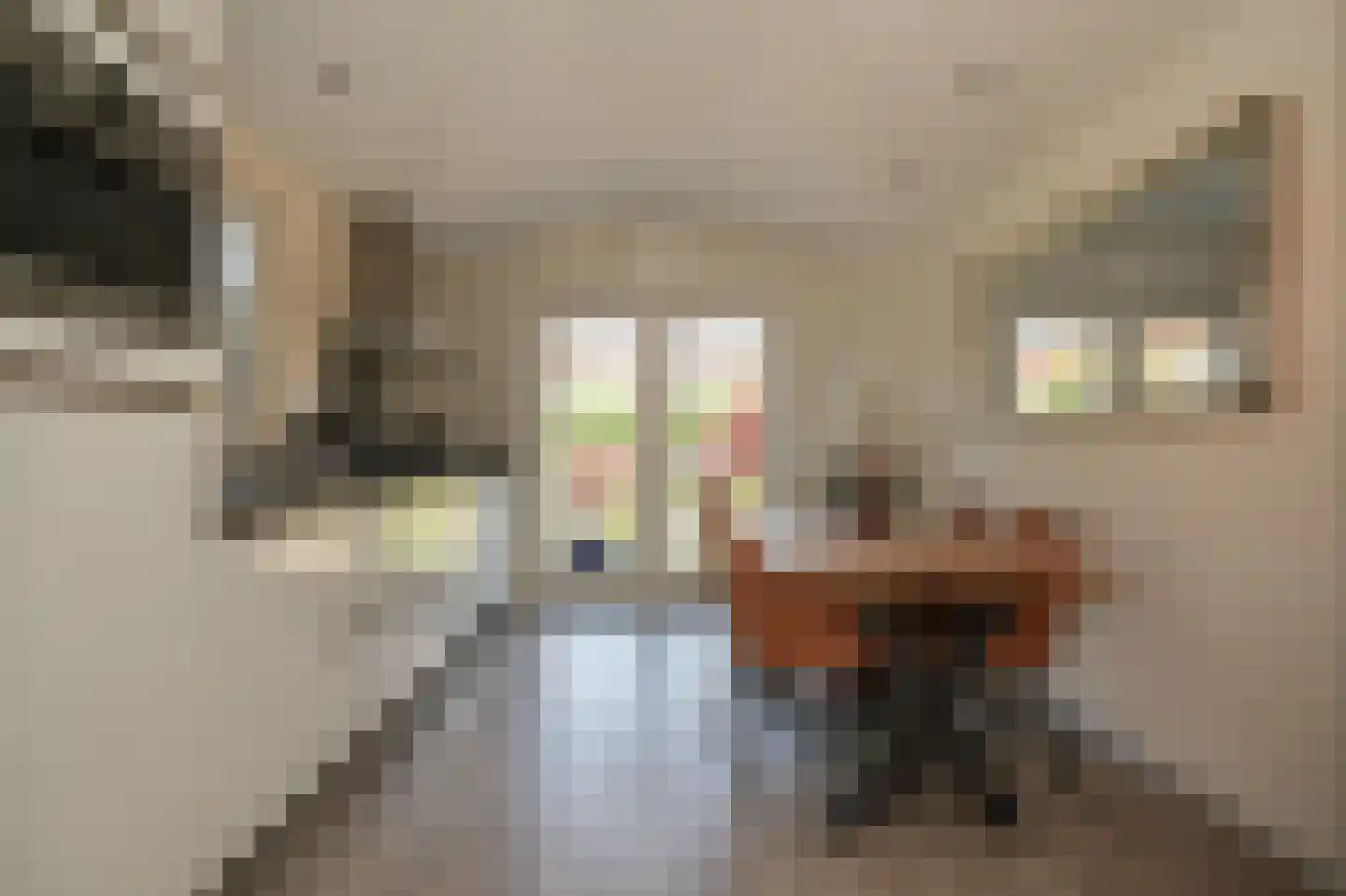 Weikesstraat 5 Alem thumbnail 12